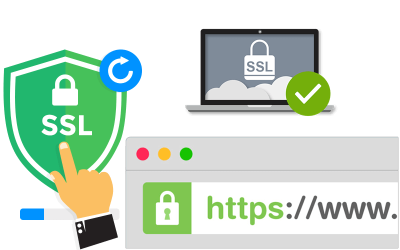 SSL Automation